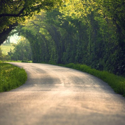 1920 x 1080 HD Wallpapers 1879